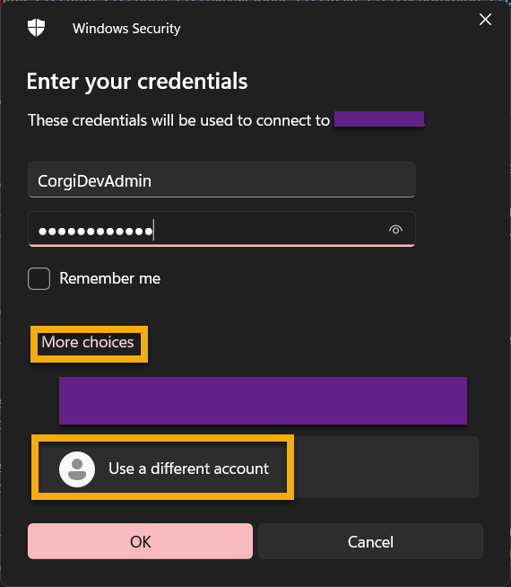 RDP Credential window with More choices button highlighted.